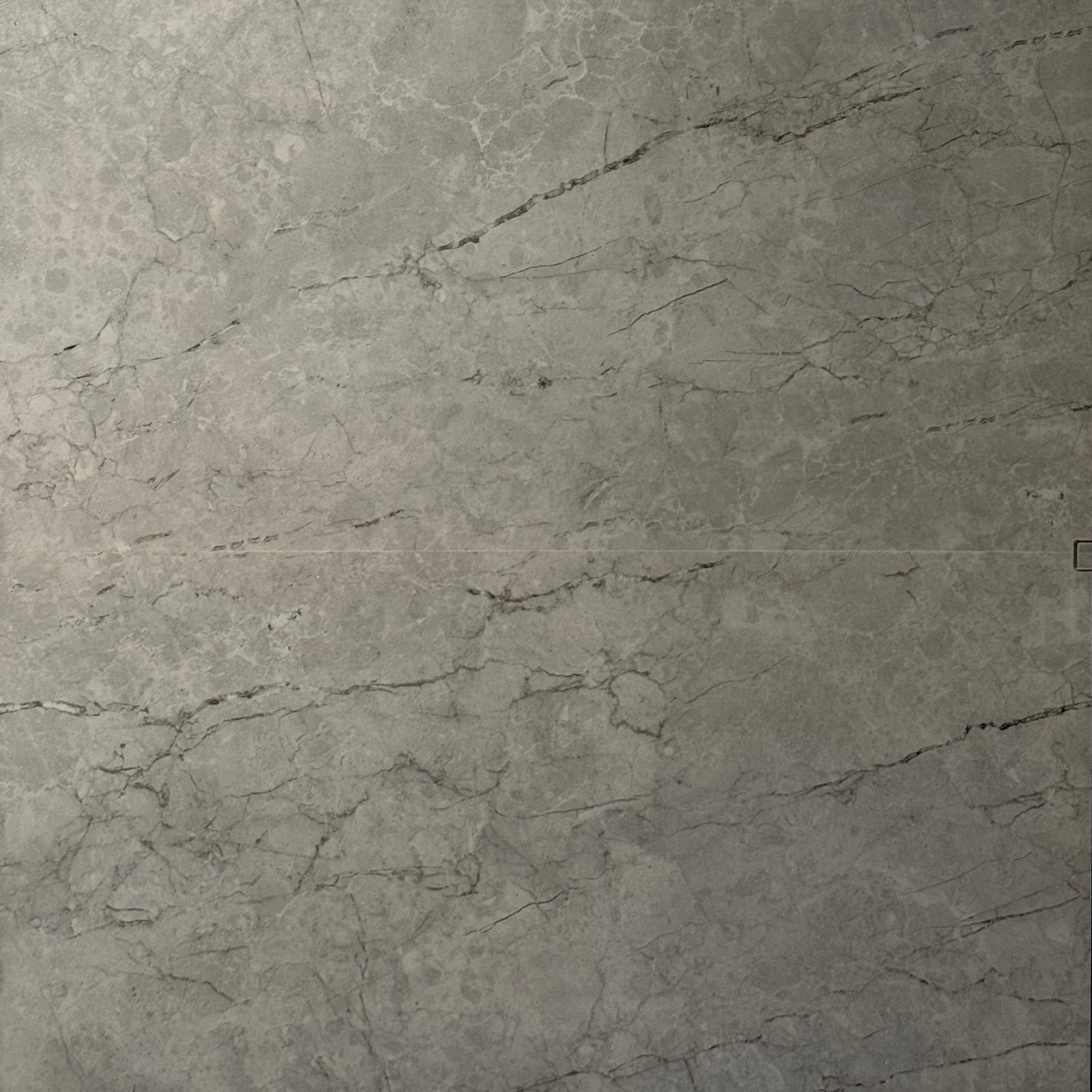 Pacific Silver Grenulla